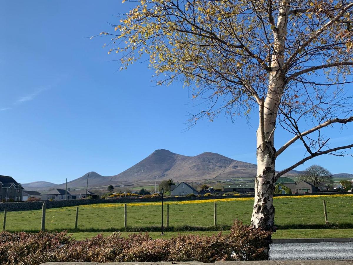 Lovely 2-Bed Cottage At The Foot Of The Mournes Ньюри Экстерьер фото