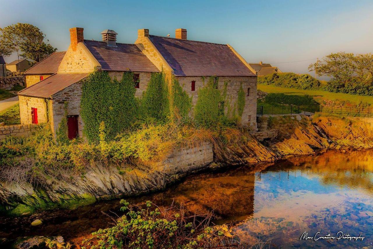Lovely 2-Bed Cottage At The Foot Of The Mournes Ньюри Экстерьер фото