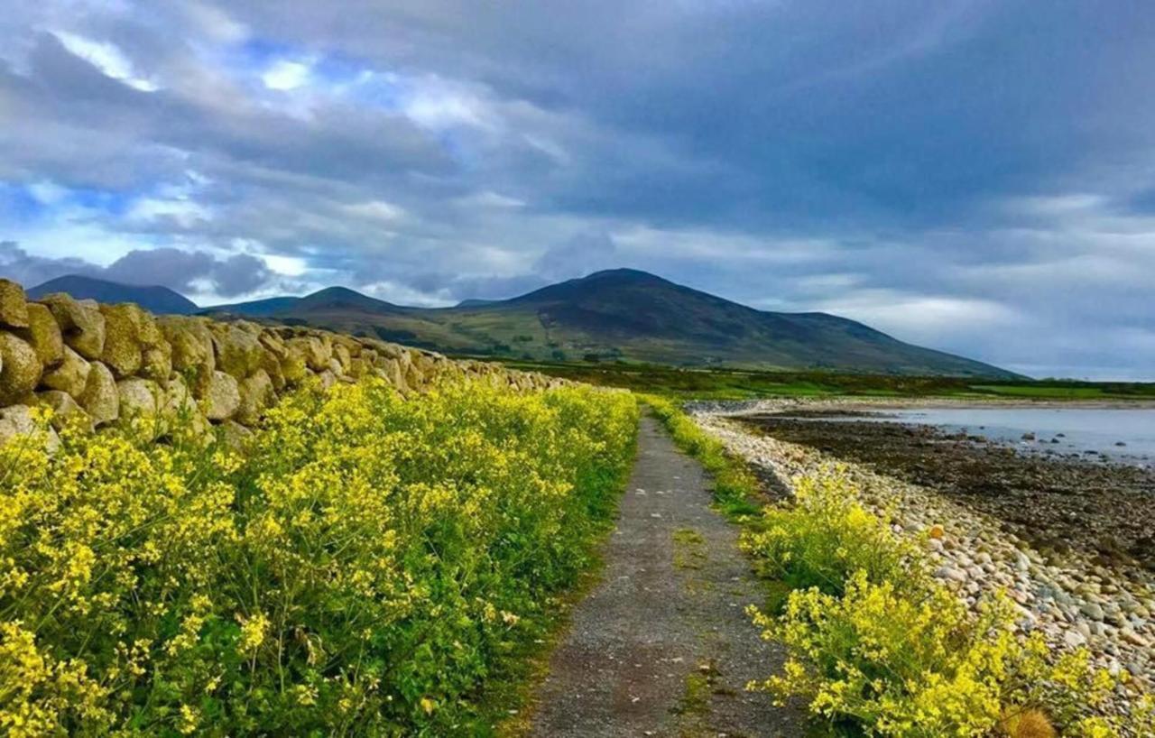 Lovely 2-Bed Cottage At The Foot Of The Mournes Ньюри Экстерьер фото